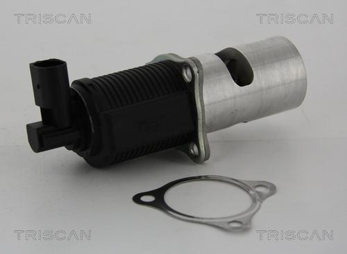 Triscan 8813 24055 - EGR Valve autospares.lv