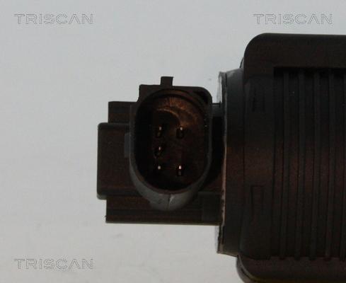 Triscan 8813 24055 - EGR Valve autospares.lv