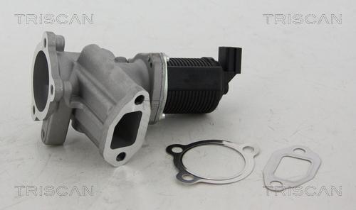 Triscan 8813 24012 - EGR Valve autospares.lv