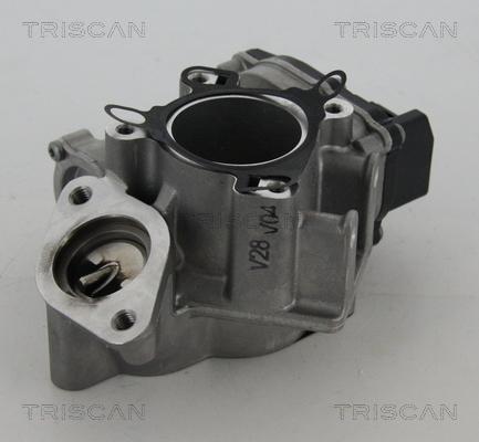 Triscan 8813 24039 - EGR Valve autospares.lv