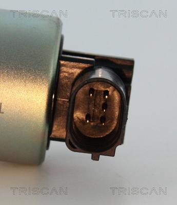 Triscan 8813 24037 - EGR Valve autospares.lv