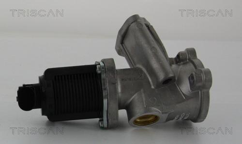 Triscan 8813 24204 - EGR Valve autospares.lv