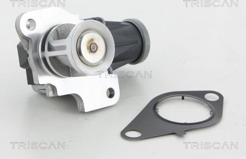 Triscan 8813 25040 - EGR Valve autospares.lv