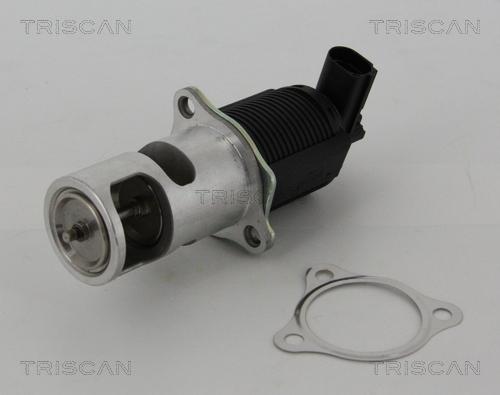 Triscan 8813 25005 - EGR Valve autospares.lv