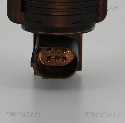 Triscan 8813 25005 - EGR Valve autospares.lv