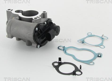 Triscan 8813 25010 - EGR Valve autospares.lv