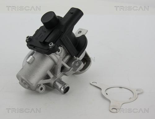 Triscan 8813 25039 - EGR Valve autospares.lv