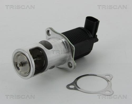 Triscan 8813 25038 - EGR Valve autospares.lv