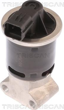 Triscan 8813 21100 - EGR Valve autospares.lv