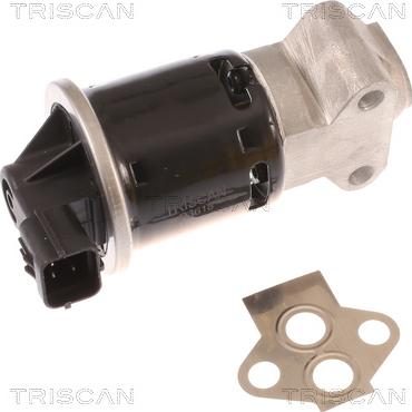 Triscan 8813 21100 - EGR Valve autospares.lv