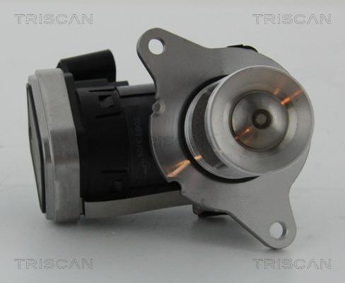 Triscan 8813 23006 - EGR Valve autospares.lv