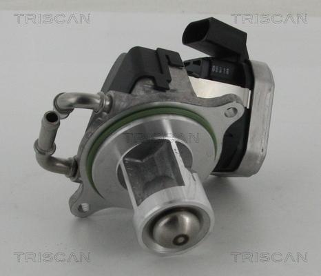 Triscan 8813 23002 - EGR Valve autospares.lv