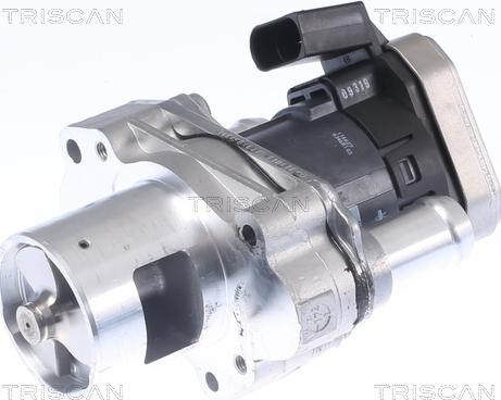 Triscan 8813 23019 - EGR Valve autospares.lv