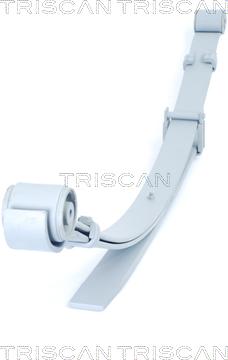 Triscan 8765 29021 - Spring Pack autospares.lv