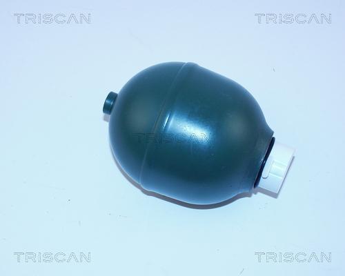 Triscan 8760 38119 - Suspension Sphere, pneumatic suspension autospares.lv