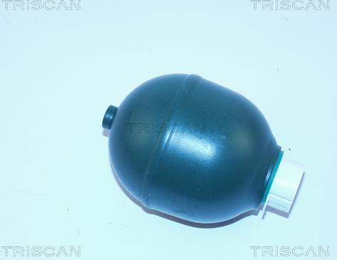 Triscan 8760 38115 - Suspension Sphere, pneumatic suspension autospares.lv