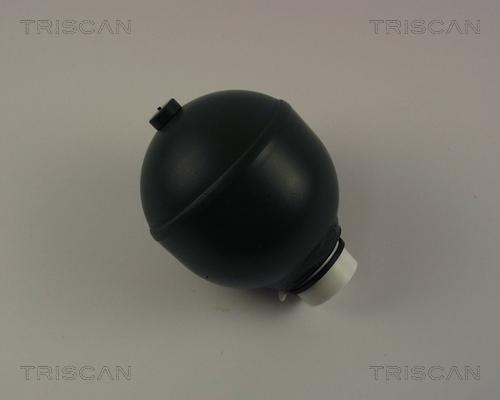 Triscan 8760 38219 - Suspension Sphere, pneumatic suspension autospares.lv