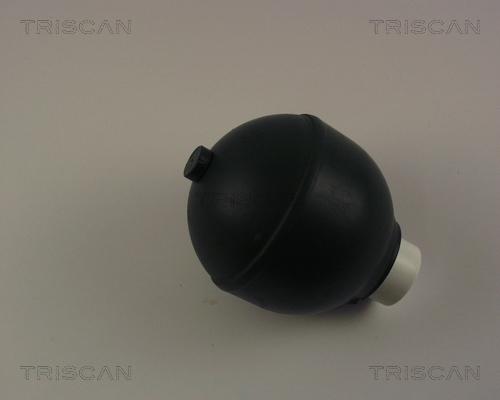 Triscan 8760 38215 - Suspension Sphere, pneumatic suspension autospares.lv