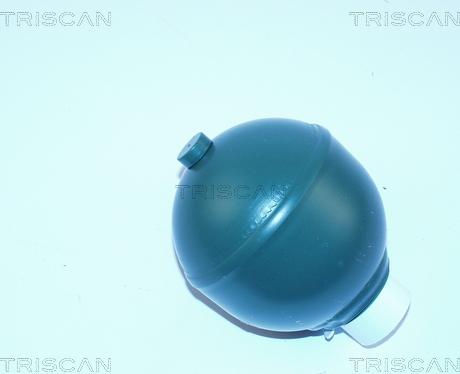 Triscan 8760 38210 - Suspension Sphere, pneumatic suspension autospares.lv