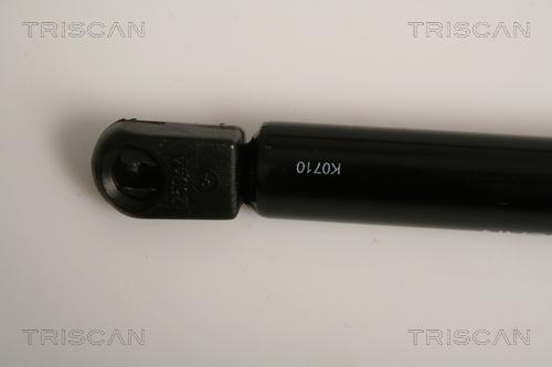 Triscan 8710 16254 - Gas Spring, boot, cargo area autospares.lv