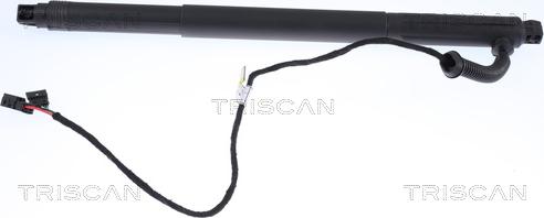 Triscan 8710 11301 - Gas Spring, boot, cargo area autospares.lv