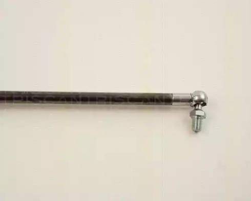 Triscan 8710 13255 - Gas Spring, boot, cargo area autospares.lv