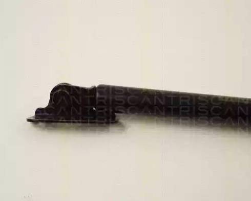 Triscan 8710 13255 - Gas Spring, boot, cargo area autospares.lv