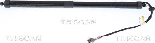 Triscan 8710 17301 - Gas Spring, boot, cargo area autospares.lv