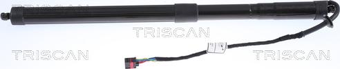 Triscan 8710 17303 - Gas Spring, boot, cargo area autospares.lv