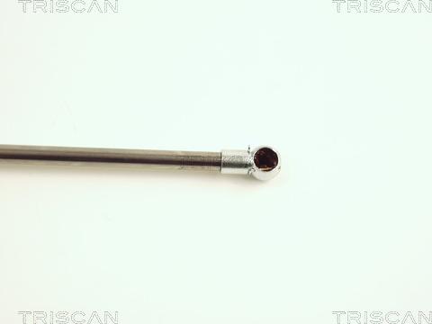 Triscan 8710 25223 - Gas Spring, boot, cargo area autospares.lv