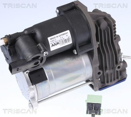 Triscan 8725 11102 - Compressor, compressed air system autospares.lv
