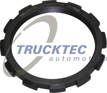 Trucktec Automotive 01.32.196 - Nut, stub axle autospares.lv