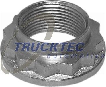 Trucktec Automotive 08.32.053 - Axle Nut, drive shaft autospares.lv