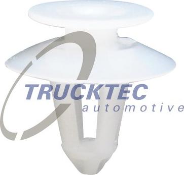 Trucktec Automotive 02.67.172 - Clip autospares.lv