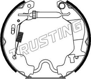 Trusting 6256 - Brake Shoe Set autospares.lv