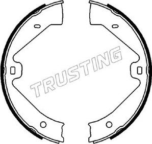 Trusting 124.289 - Brake Shoe Set, parking brake autospares.lv