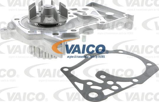 VAICO V46-50024 - Water Pump & Timing Belt Set autospares.lv