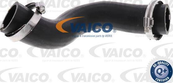 VAICO V40-1521 - Charger Intake Air Hose autospares.lv