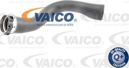 VAICO V40-1364 - Charger Intake Air Hose autospares.lv