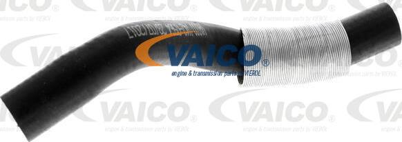 VAICO V42-0564 - Charger Intake Air Hose autospares.lv