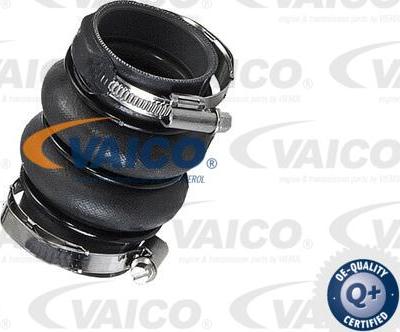 VAICO V42-0575 - Charger Intake Air Hose autospares.lv