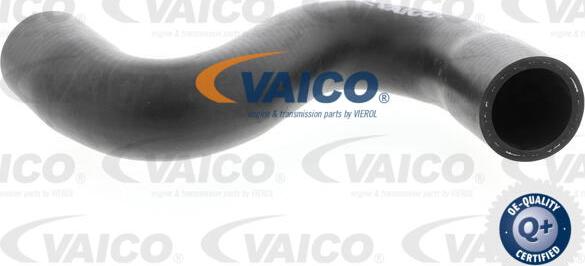 VAICO V42-0635 - Radiator Hose autospares.lv