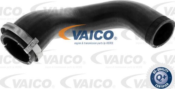 VAICO V10-4816 - Charger Intake Air Hose autospares.lv