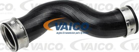 VAICO V10-4380 - Charger Intake Air Hose autospares.lv