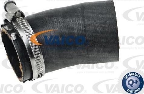 VAICO V10-4382 - Charger Intake Air Hose autospares.lv