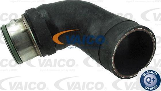 VAICO V10-4379 - Charger Intake Air Hose autospares.lv