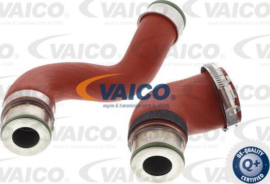 VAICO V10-5962 - Charger Intake Air Hose autospares.lv