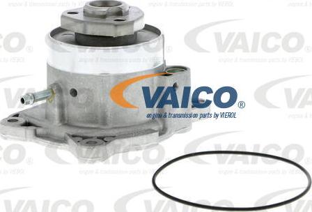 VAICO V10-50081 - Water Pump autospares.lv