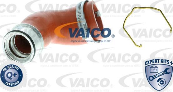 VAICO V10-5308 - Charger Intake Air Hose autospares.lv