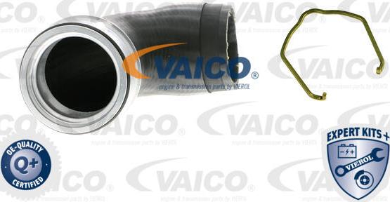 VAICO V10-5307 - Charger Intake Air Hose autospares.lv